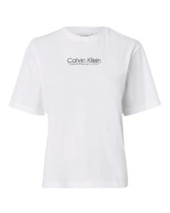 Calvin Klein Coordinates Logo T-Shirt| White -Trendy Rae Sales y01gq929505s